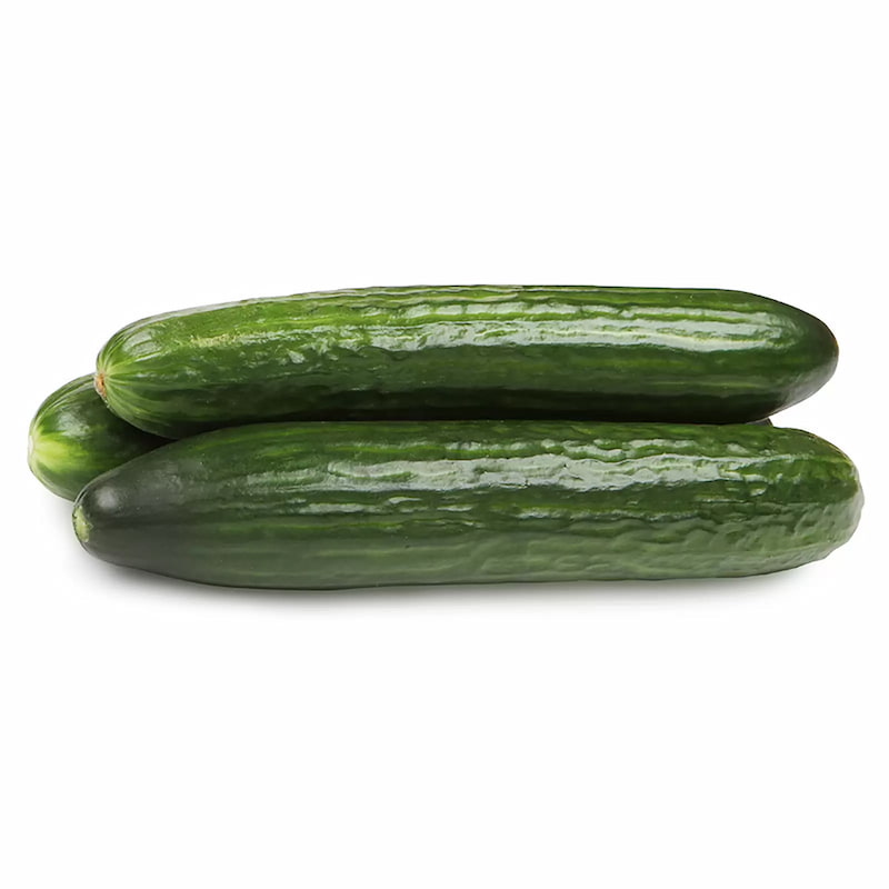 خیار بوته ای اصفهان تازه و مناسب مصرف روزانه